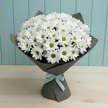 Букет цветов из:  Хризантемы в Ждановский