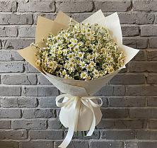 Букет цветов из:  Ромашки в Ждановский