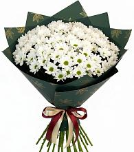 Букет цветов из:  Хризантемы в Ждановский