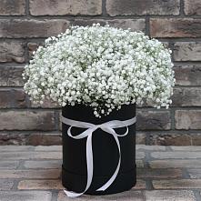 Цветочная композиция из Гипсофила в шляпной коробке в Ждановский