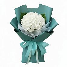 Букет цветов из:  Гортензия #REPLACE_PRED# Ждановский